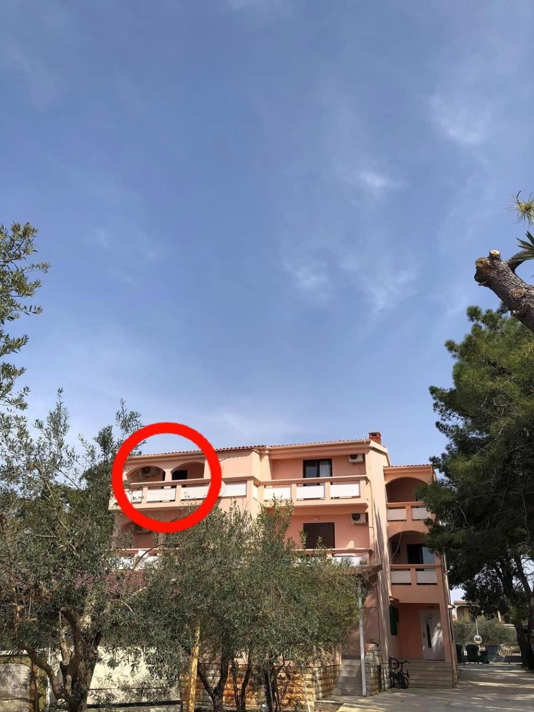 Villa Matea - Vir Exterior photo